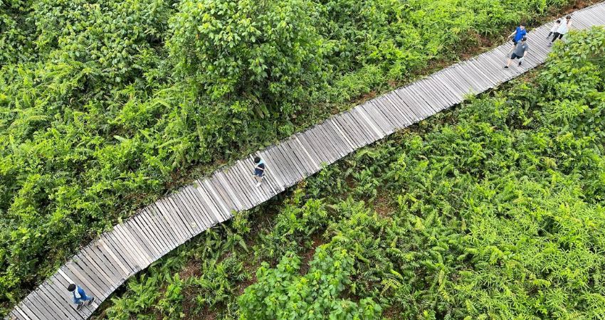 Du khách có thể du lịch đến Sibu vào thoảng tháng 7 với thời tiết ôn hòa trong năm  - Cẩm nang du lịch Sibu