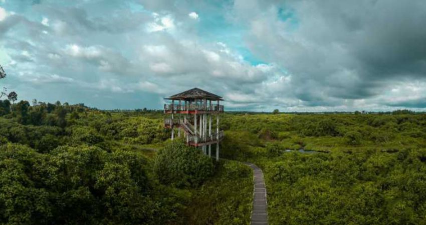 Khu bảo tồn thiên nhiên Bukit Lima - Cẩm nang du lịch Sibu