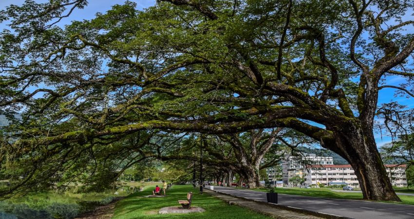 Taiping - cẩm nang du lịch Taiping Malaysia