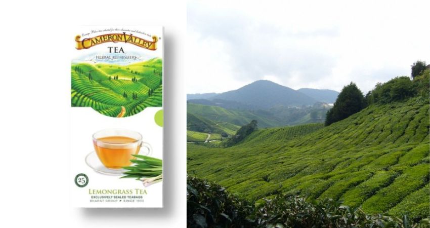 Theo cẩm nang du lịch Taiping Malaysia, du khách có thể mua các loại trà thảo mộc để làm quà Roti Canai