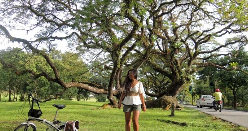 Du khách nên chuẩn bị ô khi du lịch tại thành phố mưa Taiping - cẩm nang du lịch Taiping Malaysia