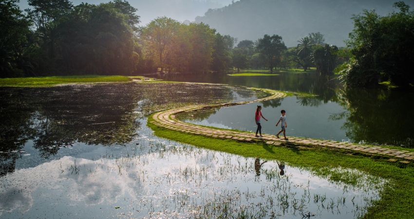 Vườn Hồ Taiping - cẩm nang du lịch Taiping Malaysia