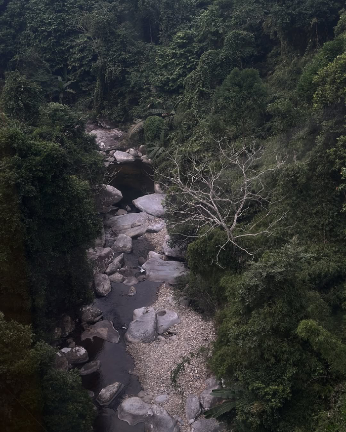 Vườn Quốc gia Tam Đảo cho bạn cơ hội gần gũi với thiên nhiên hoang sơ