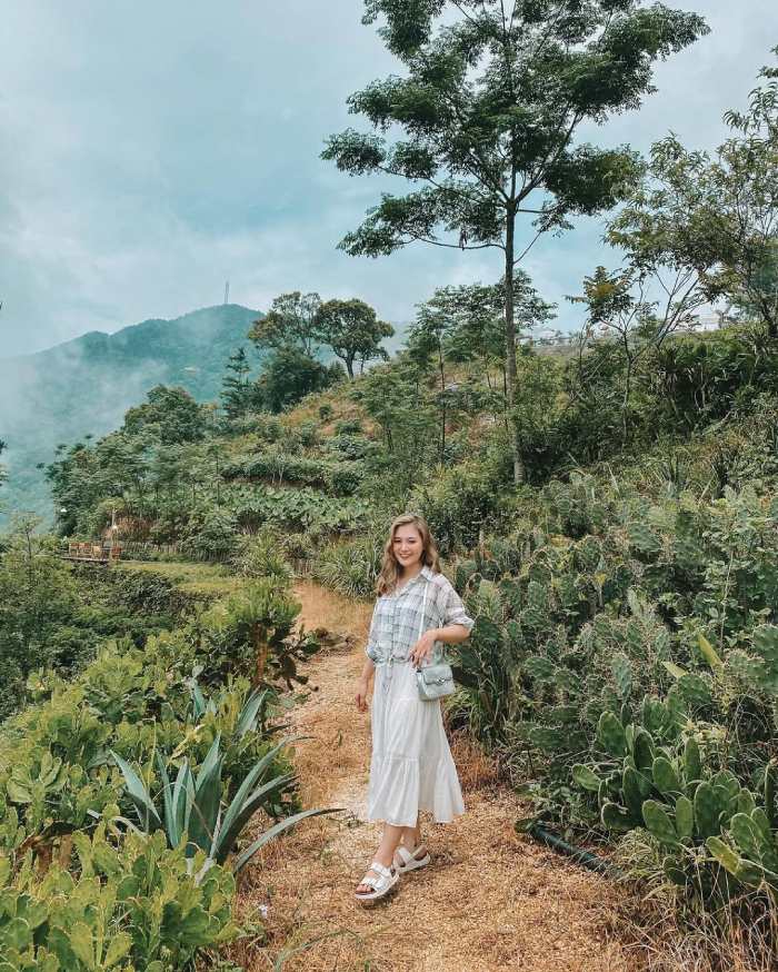 Bạn có thể ghé thăm Tam Đảo vào mọi thời điểm trong năm