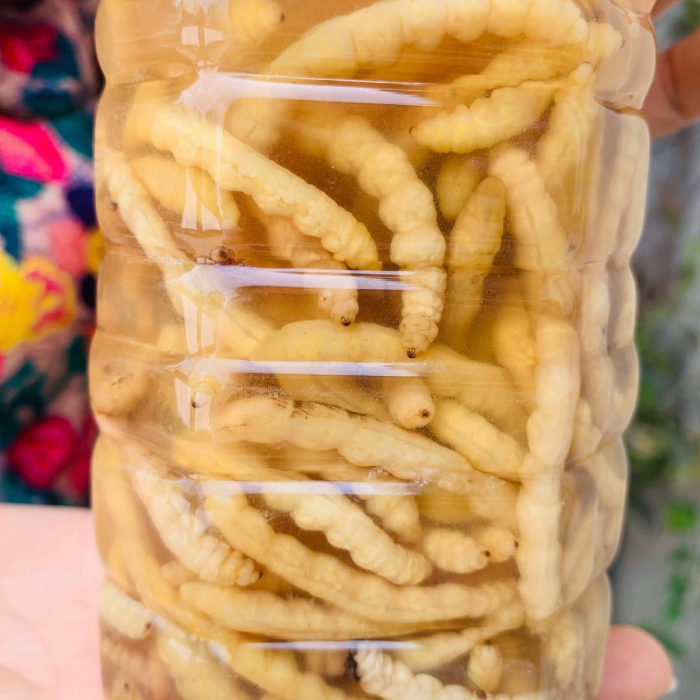 Cận cảnh món rượu sâu chít bổ dưỡng