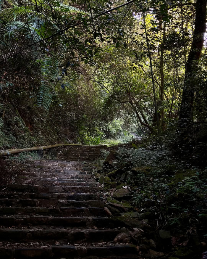 Bậc thang kéo dài tới Tháp truyền hình