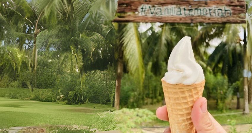 Kem tươi tại nông trại tại Amani Vanilla - Cẩm nang du lịch Temerloh