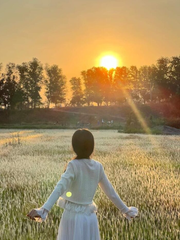 Săn ảnh sống ảo ở cánh đồng cỏ lau TP Thủ Đức 