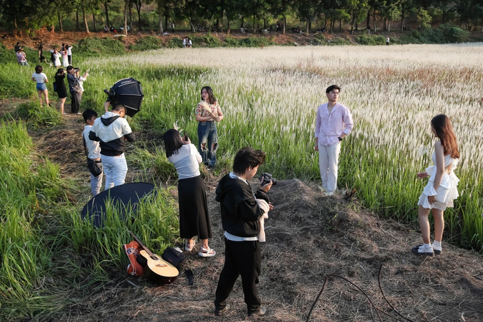 Những lưu ý khi sống ảo ở cánh đồng cỏ lau TP Thủ Đức 