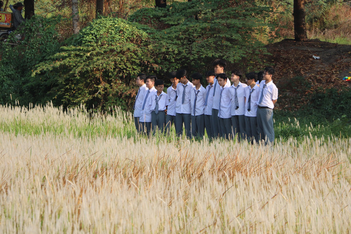 Săn ảnh sống ảo ở cánh đồng cỏ lau TP Thủ Đức 