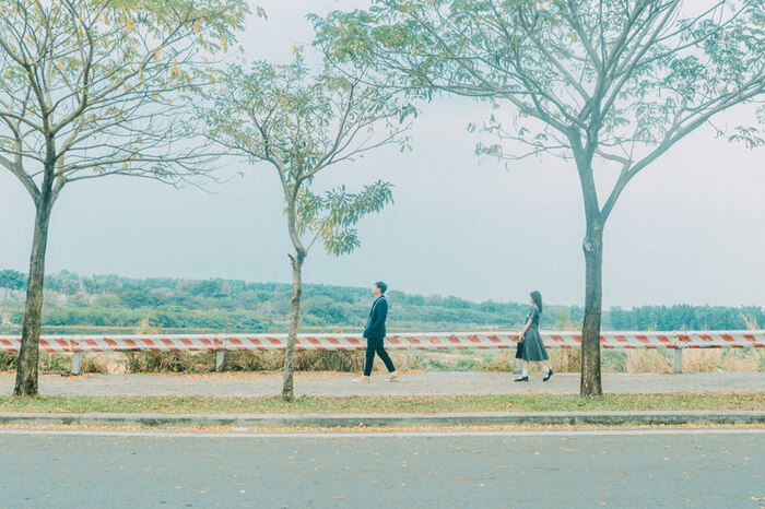 Săn ảnh sống ảo ở cánh đồng cỏ lau TP Thủ Đức 