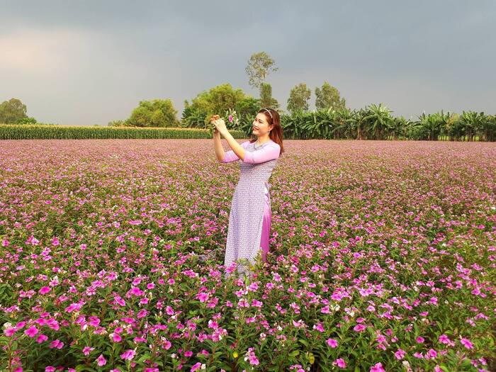 Tham quan, săn ảnh với cánh đồng hoa dừa cạn An Giang