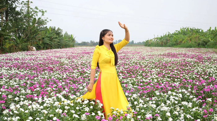 Bạn có thể ghé thăm cánh đồng hoa dừa cạn An Giang vào bất cứ thời điểm nào trong năm