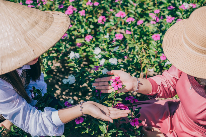 Bạn có thể dễ dàng di chuyển đến cánh đồng hoa dừa cạn An Giang bằng phương tiện cá nhân