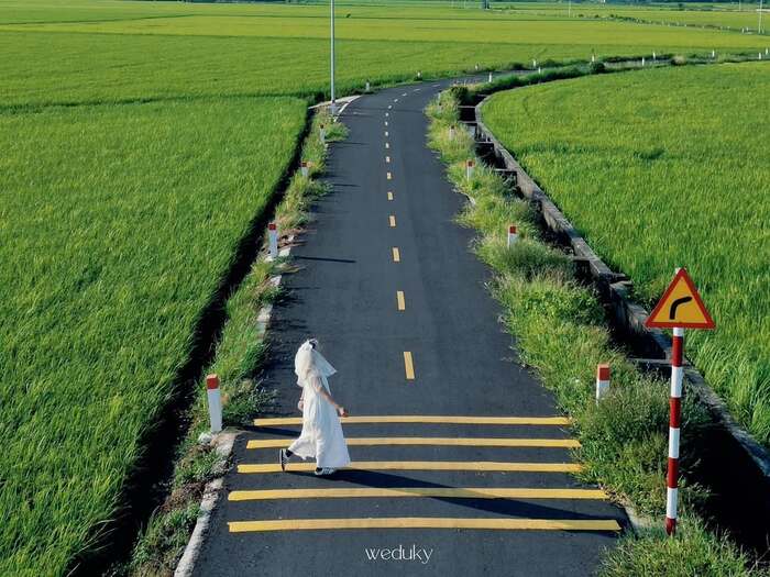 Cánh đồng lúa An Nhứt Vũng Tàu là địa điểm du lịch tháng 4 được nhiều người săn đón