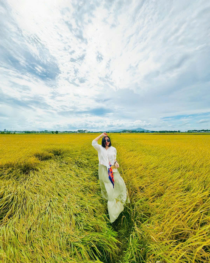 Săn ảnh sống ảo cháy máy ở cánh đồng lúa An Nhứt Vũng Tàu