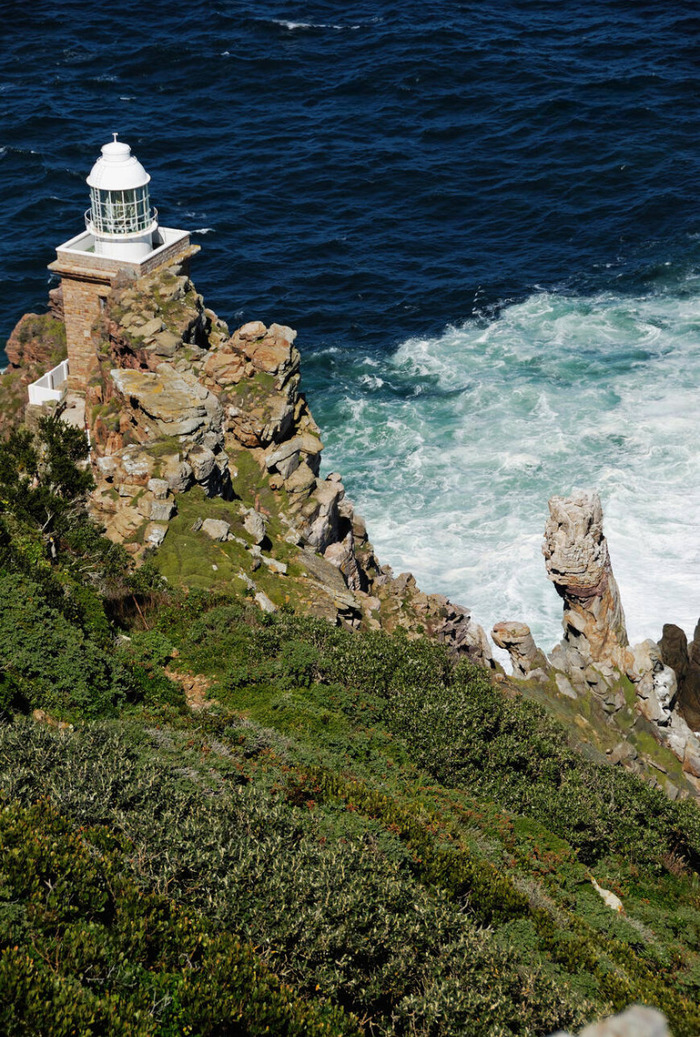 Săn ảnh sống ảo ở Cape of Good Hope Nam Phi