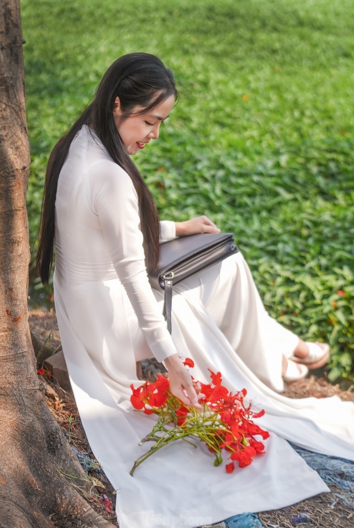 Săn ảnh sống ảo với cây phượng cô đơn ở TP HCM