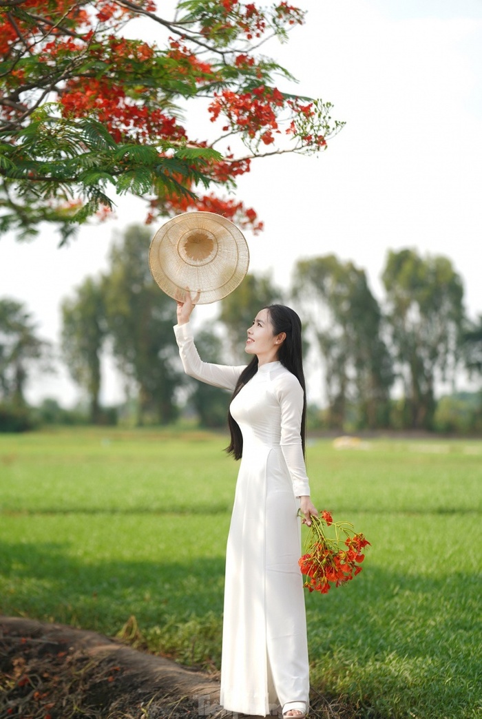 Tháng 4 - tháng 5 là thời điểm đẹp nhất để chụp ảnh cùng cây phượng cô đơn ở TP HCM