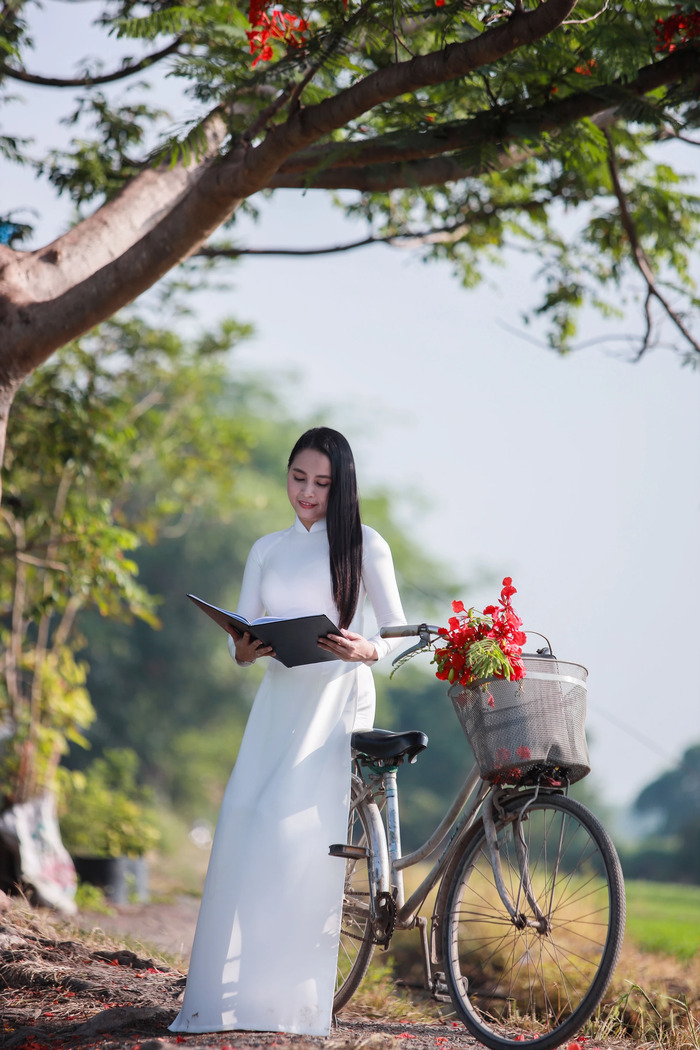 Cây phượng cô đơn ở TP HCM tọa lạc giữa khung cảnh làng quê thanh bình