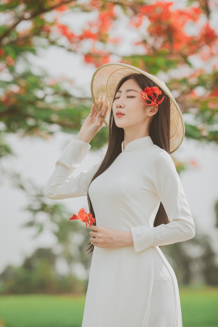 Săn ảnh sống ảo với cây phượng cô đơn ở TP HCM