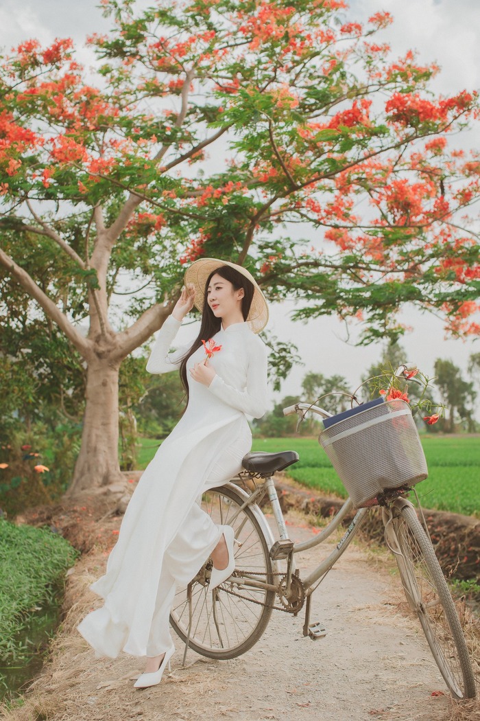 Đừng quên diện áo dài check-in với cây phượng cô đơn ở TP HCM bạn nhé
