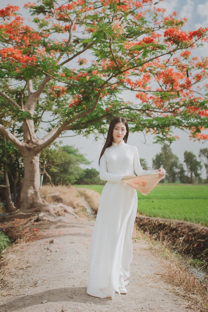 Tháng 4 - tháng 5 là thời điểm đẹp nhất để chụp ảnh cùng cây phượng cô đơn ở TP HCM