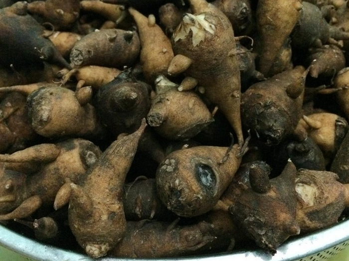 Để làm được món ăn, nguyên liệu chính là củ ấu tẩu phải được ngâm nước gạo qua đêm để loại bỏ chất độc. 