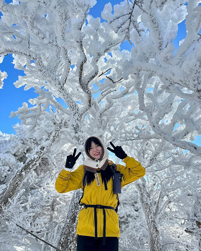 Khu vực Yeongsil tại công viên quốc gia núi Hallasan hàn quốc