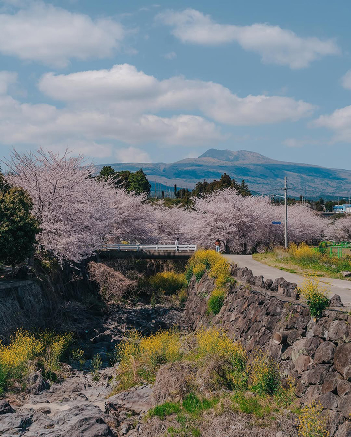 Đền Gwaneumsa tại công viên quốc gia núi Hallasan hàn quốc