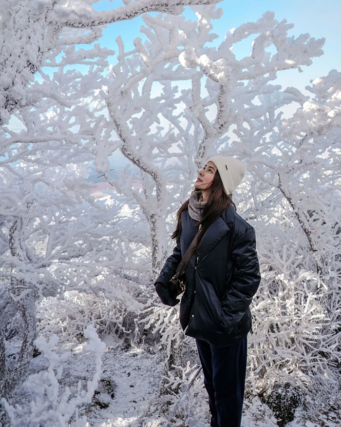 Khám phá hệ sinh thái thú vị tại công viên quốc gia núi Hallasan Hàn Quốc