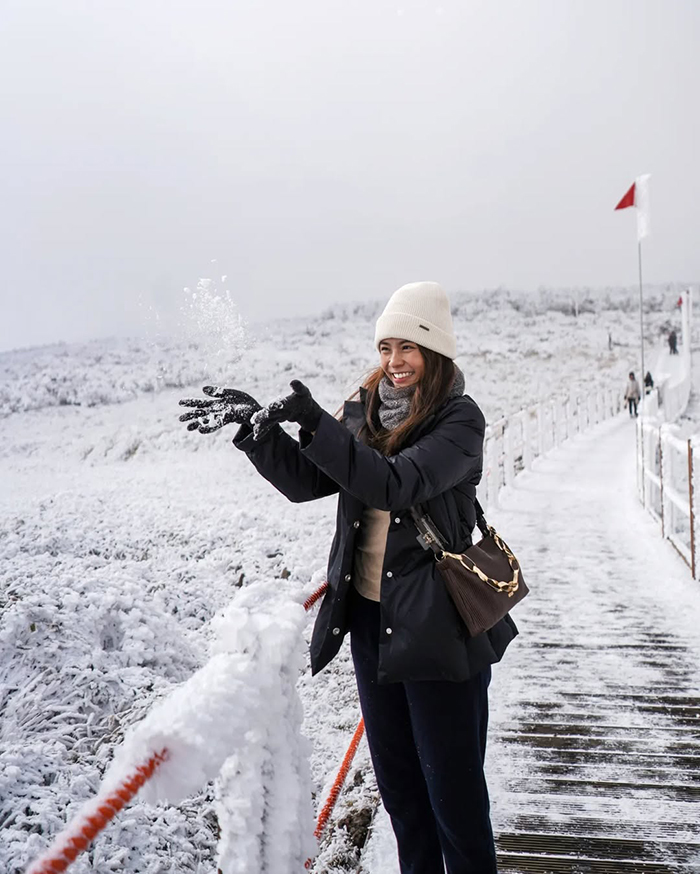 Nhiều hoạt động trekking thú vị tại công viên quốc gia núi Hallasan Hàn Quốc