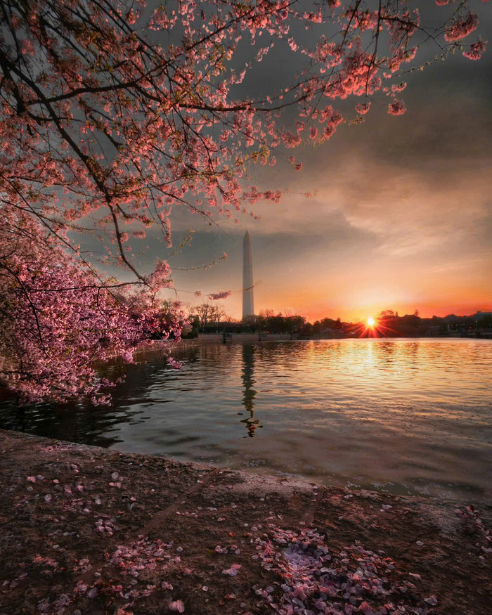 Ngắm hoàng hôn ở đài tưởng niệm Washington Mỹ 