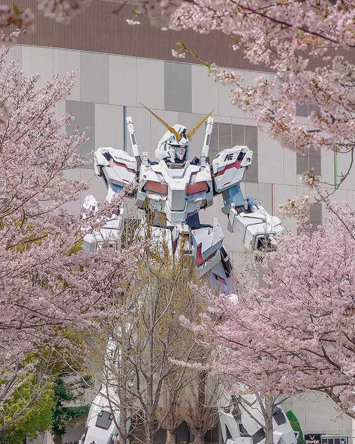 Cách di chuyển tới đảo nhân tạo Odaiba Nhật Bản