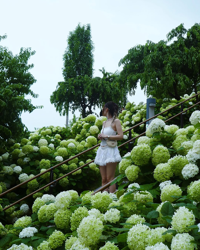 Những trải nghiệm thú vị tại đảo nhân tạo Odaiba Nhật Bản