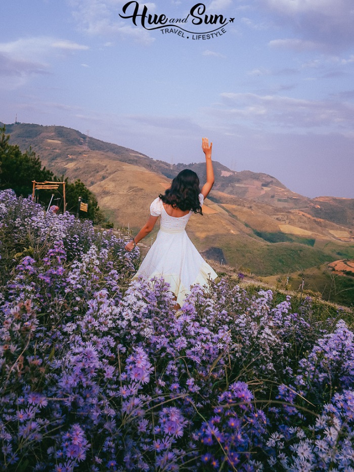 Bạn có thể tới đèo Pha Đin Điện Biên bằng bất kỳ phương tiện nào