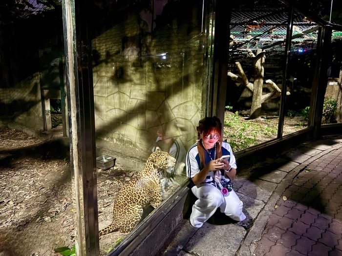 Địa điểm đi chơi 30/4 – 1/5 ở TP HCM - Tham gia tour tham quan đêm tại thảo cầm viên