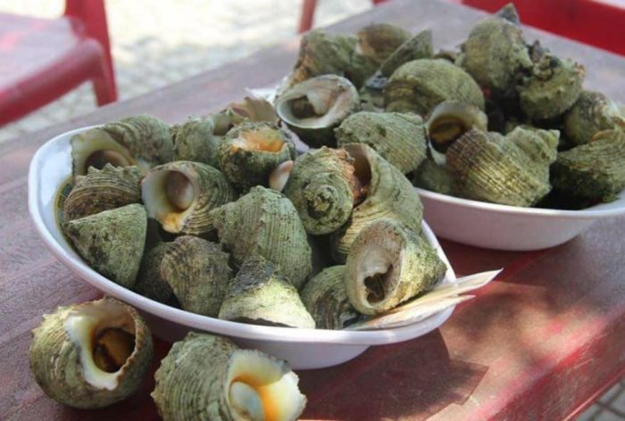 Du lịch đảo Cồn Cỏ Quảng Trị ốc vú nàng Du lịch đảo Cồn Cỏ Quảng Trị ốc vú nàng