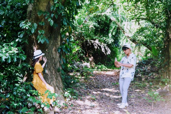 Du lịch đảo Cồn Cỏ Quảng Trị rừng nguyên sinh Du lịch đảo Cồn Cỏ Quảng Trị rừng nguyên sinh