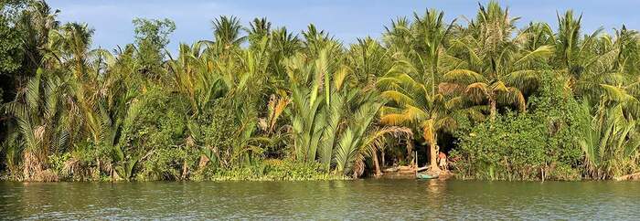 Du lịch Giồng Trôm Bến Tre - Khám phá cồn Ốc thơ mộng