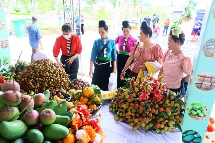 Không chỉ có ở Hưng Yên, nhãn của Sơn La cũng là một sản phẩm trái cây đặc sản Việt Nam.