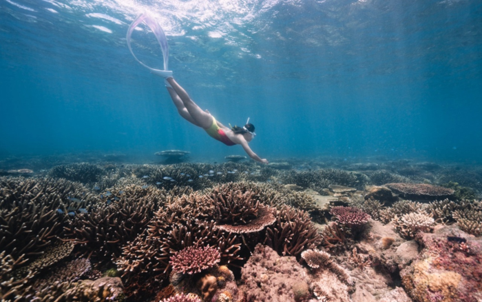 Kinh nghiệm du lịch Côn Đảo tháng 4 - Trải nghiệm lặn biển ngắm san hô