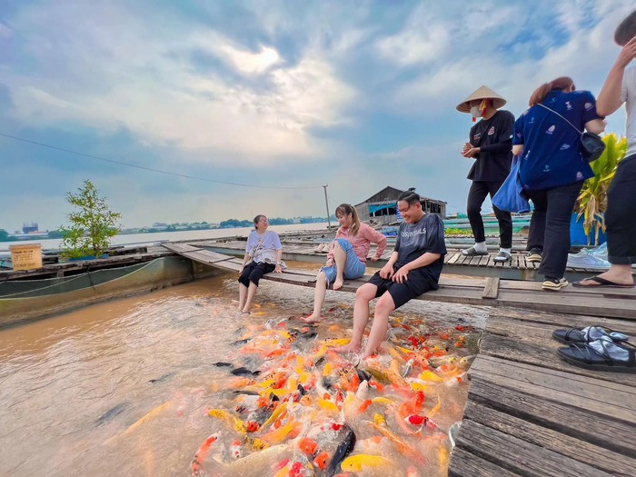 Kinh nghiệm du lịch Cồn Sơn Cần Thơ - Tham quan bè cá chú Bảy Bon