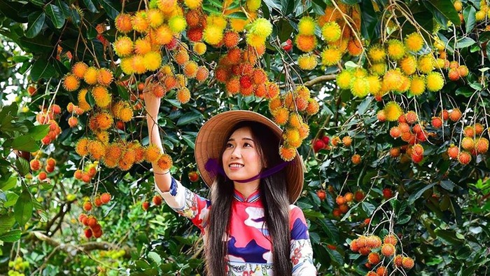 Kinh nghiệm du lịch Cồn Sơn Cần Thơ - Tham quan và thưởng thức trái cây ngay tại miệt vườn