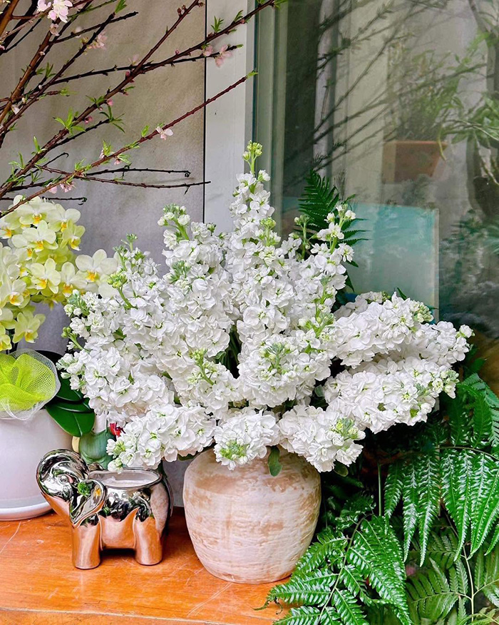 Mùa hoa tháng 7 việt nam có phi yến độc đáo