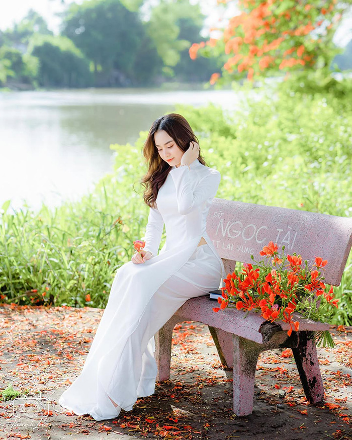 Ngắm nhìn những bông hoa phượng đỏ ấn tượng trong mùa hoa tháng 7 việt nam