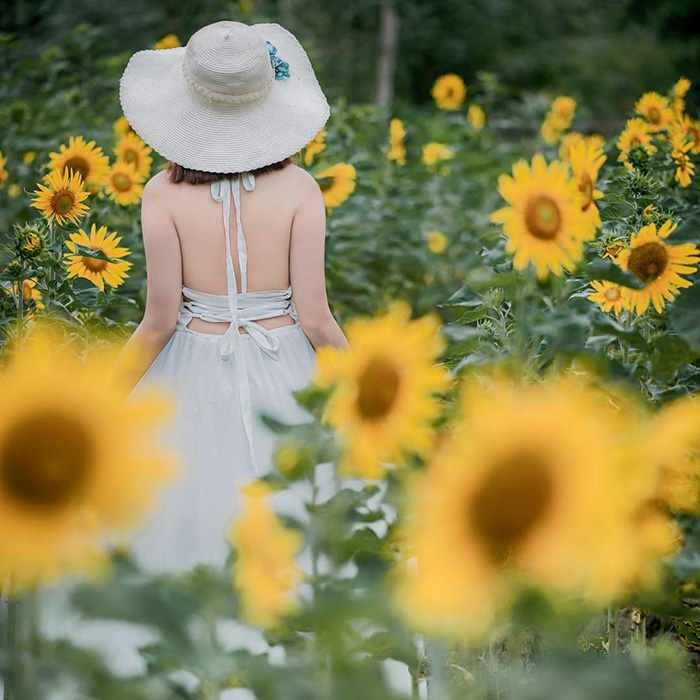 Thư giãn giữa vùng hoa rực rỡ tháng 7 là trải nghiệm tuyệt vời