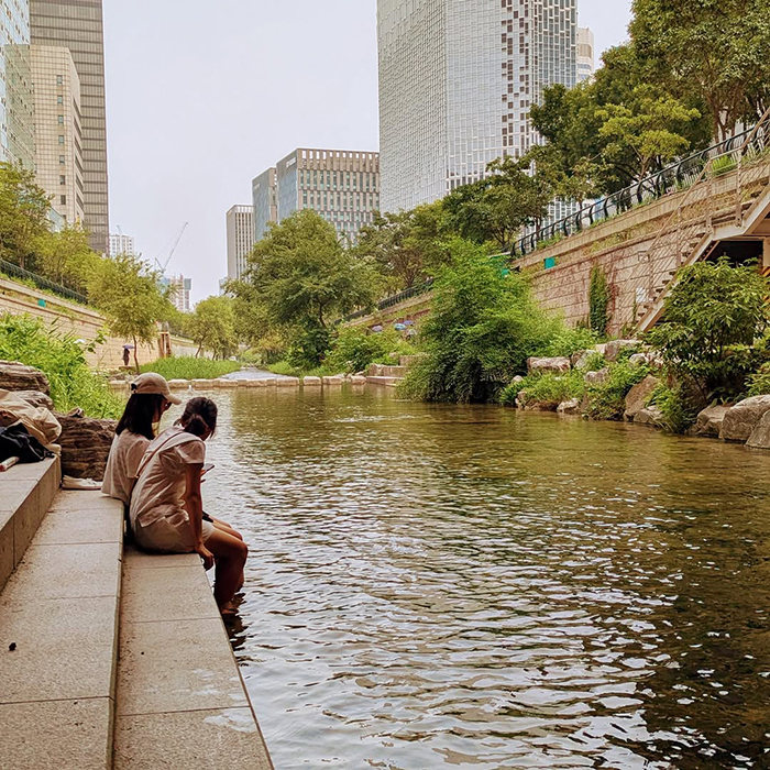 Giới thiệu suối Cheonggyecheon Hàn Quốc