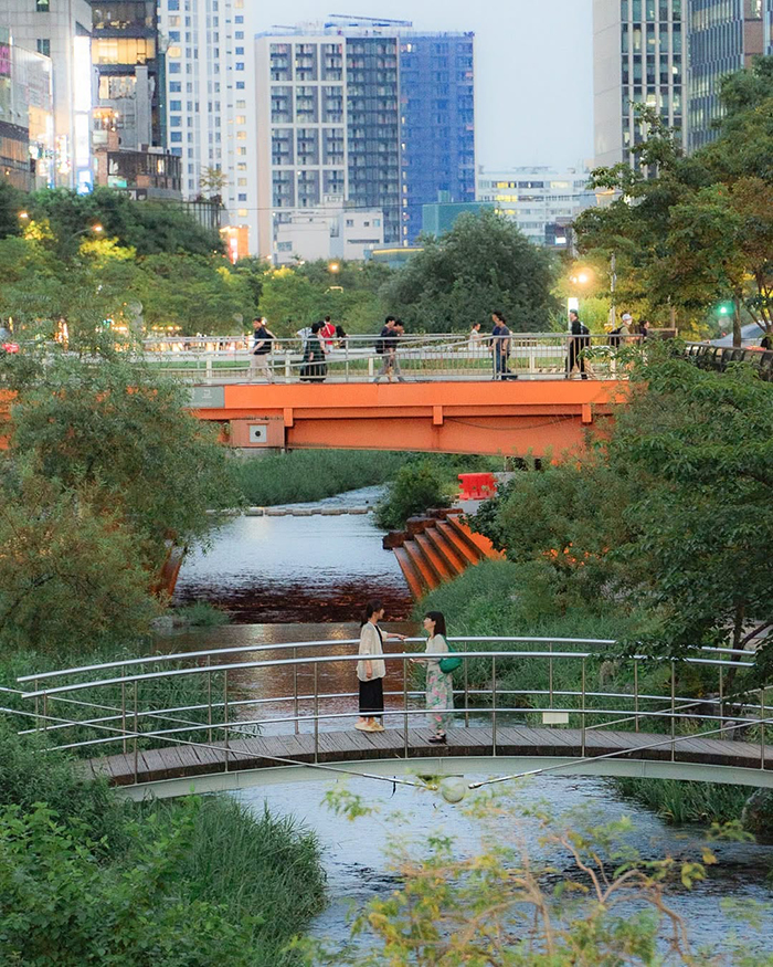 Dạo quanh suối Cheonggyecheon Hàn Quốc thơ mộng