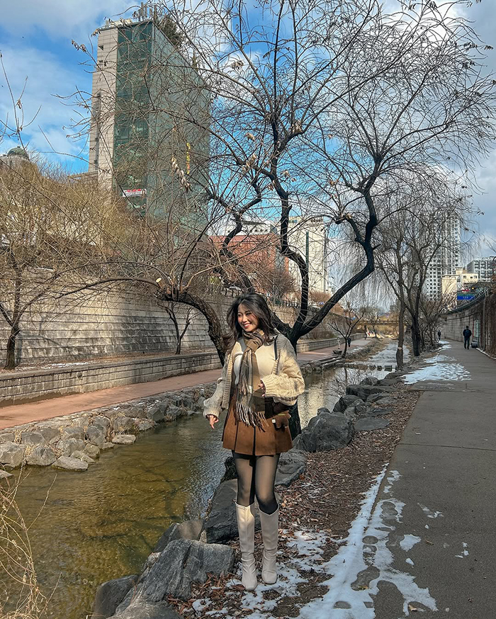 Mùa Đông (Tháng 12 - Tháng 2) tại suối cheonggyecheon hàn quốc